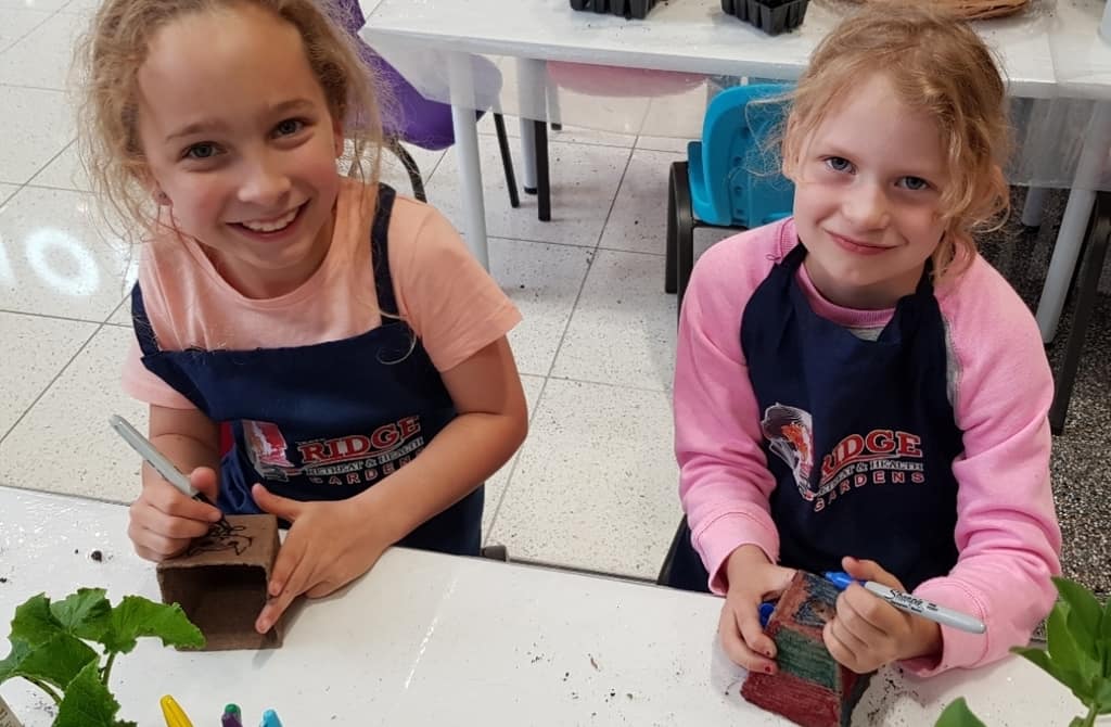 Kids workshop activities - interactive learning