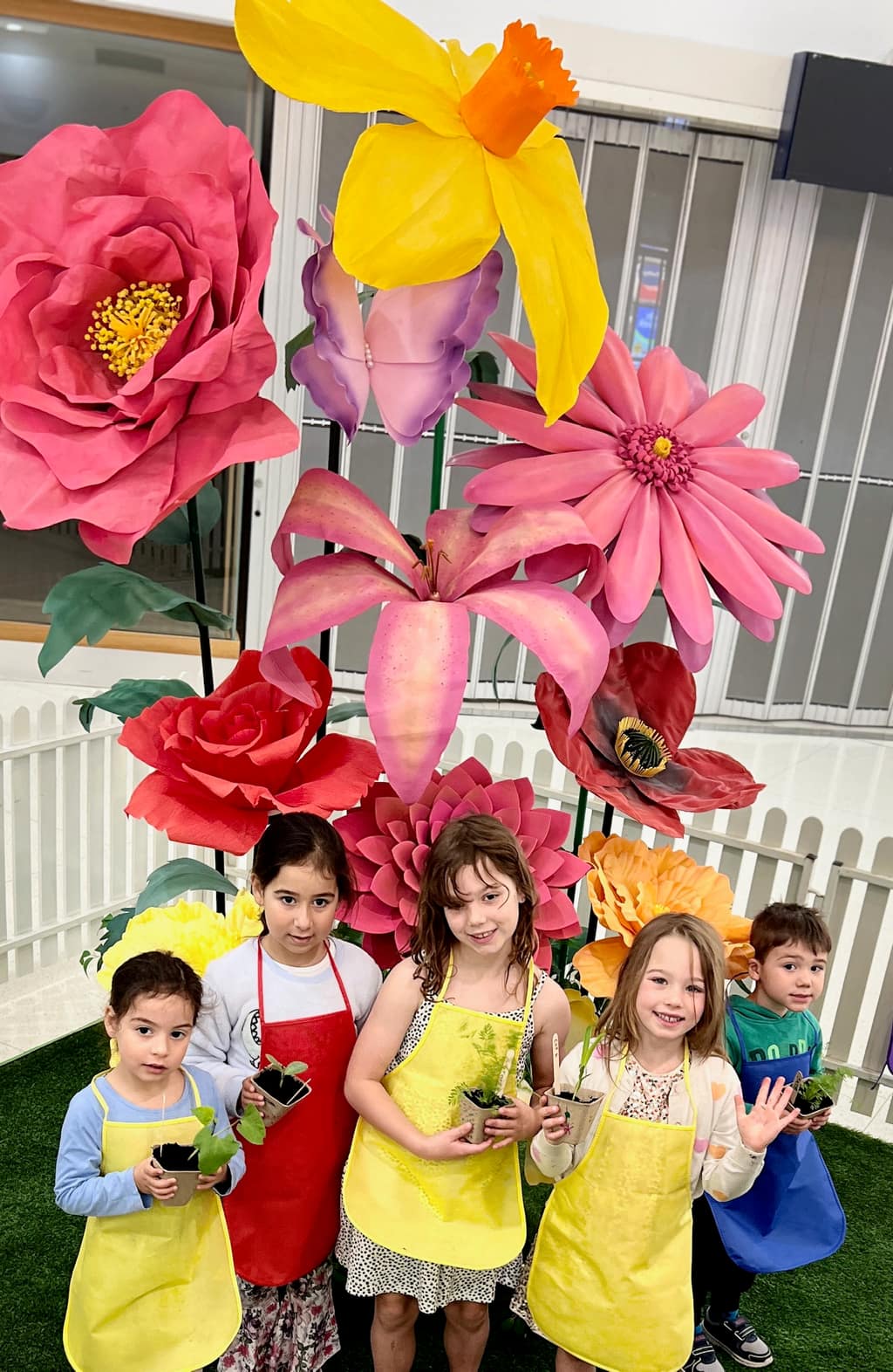 Phoenix display installation